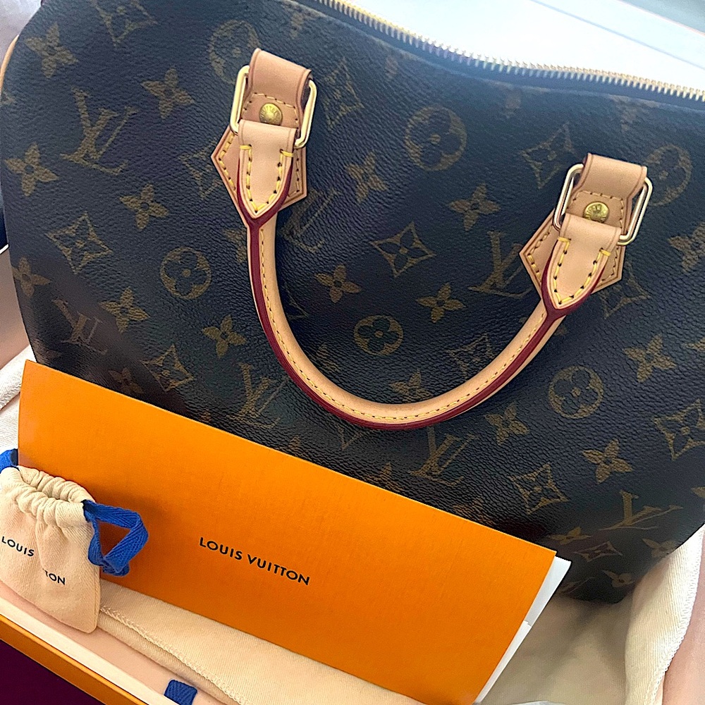 Louis Vuitton Monogram Canvas Handbag with Natural Vachetta Trim